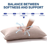 Scalebeard Dual Layer 5 Inch Memory Foam Mattress Topper King Size, 2 Inch Gel Memory Foam Plus 3 Inch 1450 GSM Down Alternative Quilted Pillow Top Mattress Pad Cover,Dark Gray,King Size With Set of 2 Pillows