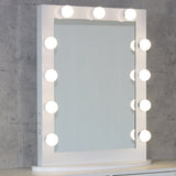Toyswill Large Vanity Mirror with Lights 23.6" x 31.5" LED Lighted Vanity Mirrors Hollywood Makeup Mirror with Dimmer White Desk or Wall Mounted, Dimmable Bulbs Included